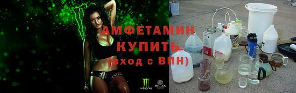 амф Гусь-Хрустальный