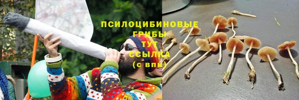 прущая мука Балахна